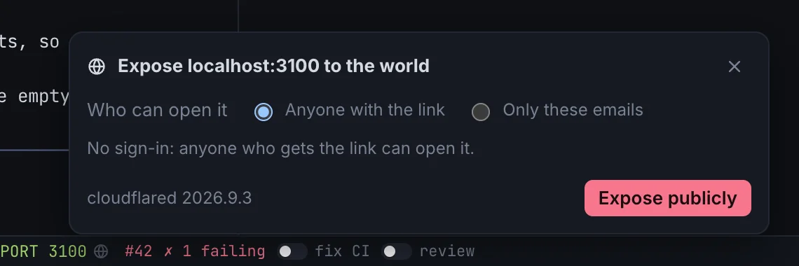 Expose localhost:3100 to the world popup